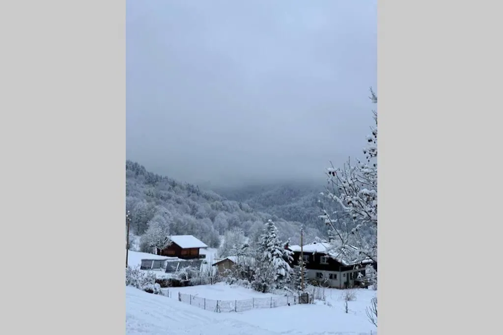 Appartement lumineux coeur de station  Thollon-les-Mémises France